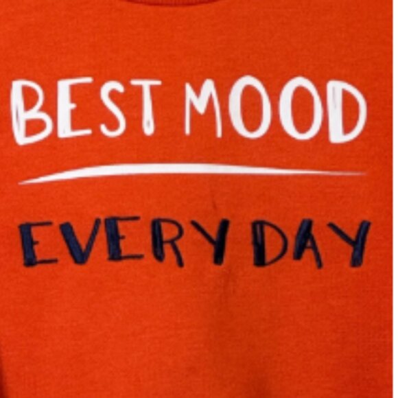 Boy's Sweatshirts Set of 3 Size 2-3Y - Picture 4 of 13